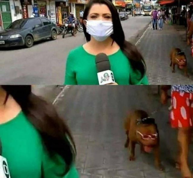 Acid Picdump. Part 1 (94 pics)