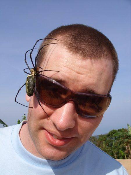Acid Picdump. Part 1 (94 pics)