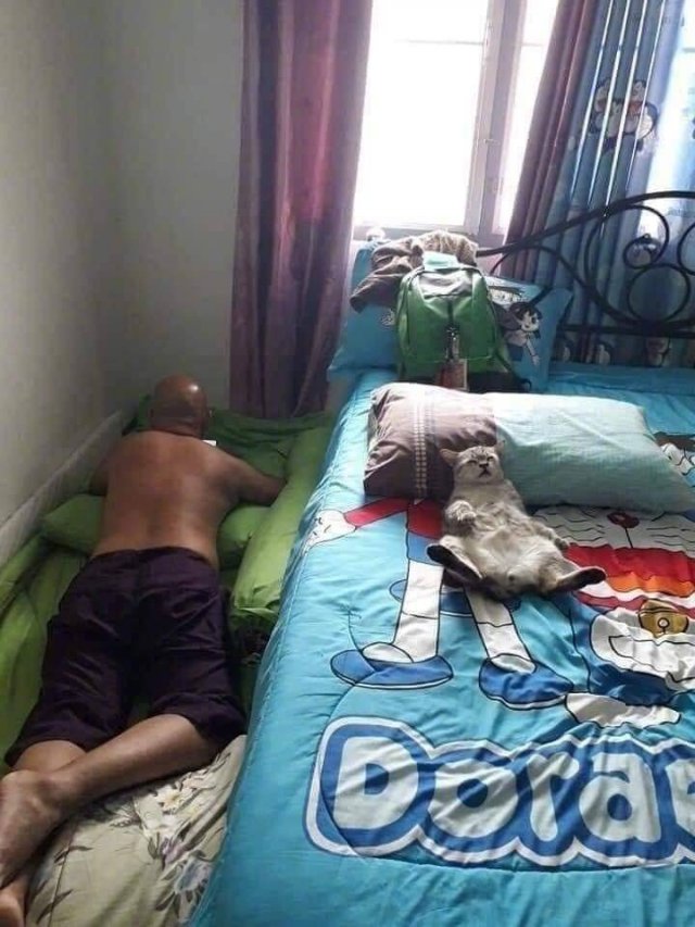 Acid Picdump. Part 1 (94 pics)