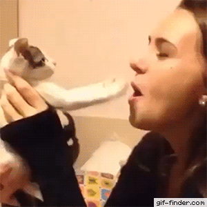 Acid Gifdump, June 24 (25 gifs)