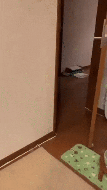 Acid Gifdump, June 24 (25 gifs)