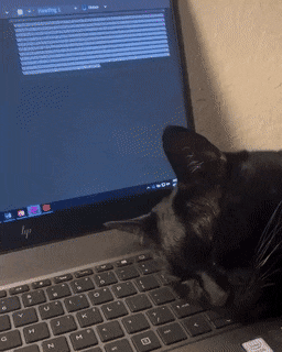Acid Gifdump, June 24 (25 gifs)