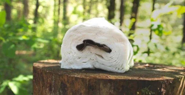 Camping Struggles (33 pics)