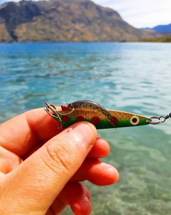 Camping Struggles (33 pics)