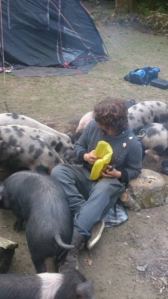 Camping Struggles (33 pics)