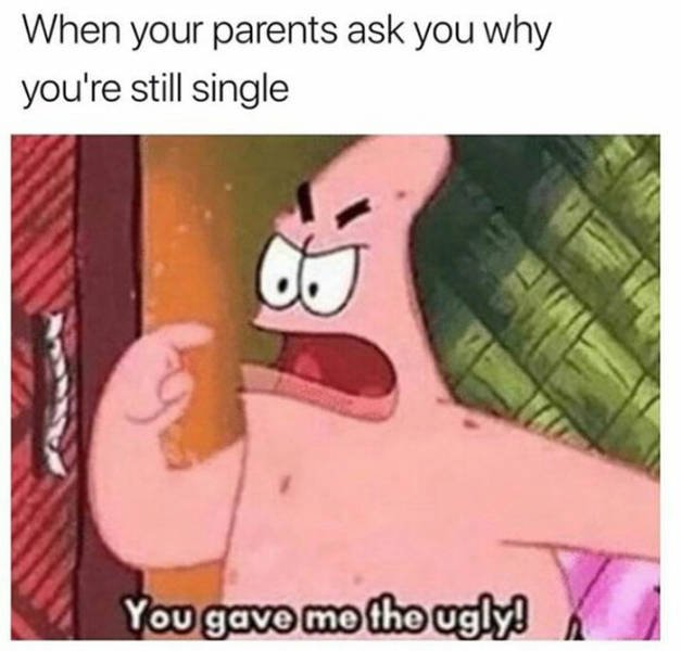 Single People Memes (20 pics)