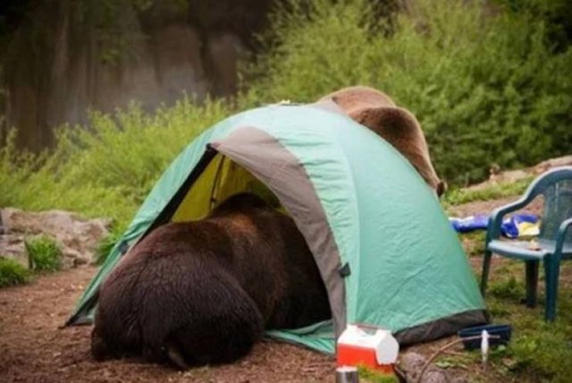 Camping Struggles (33 pics)