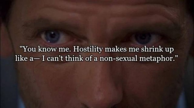 Dr. House's Best Quotes (20 pics)