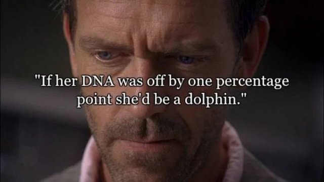 Dr. House's Best Quotes (20 pics)