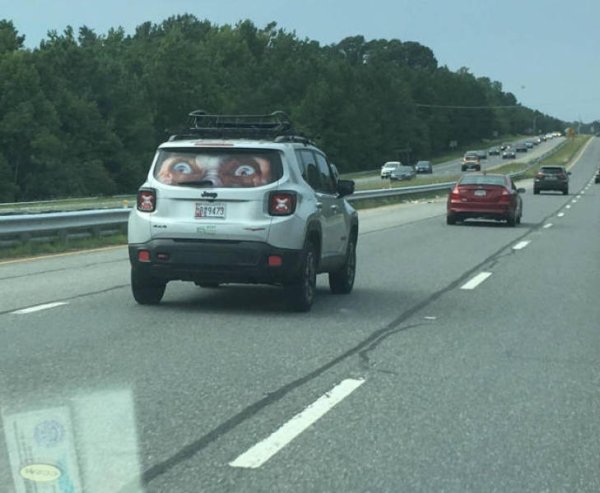 Weird Transport (39 pics)