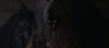Great Movies You Should Watch (19 gifs) Great Movies You Should Watch (19 gifs)