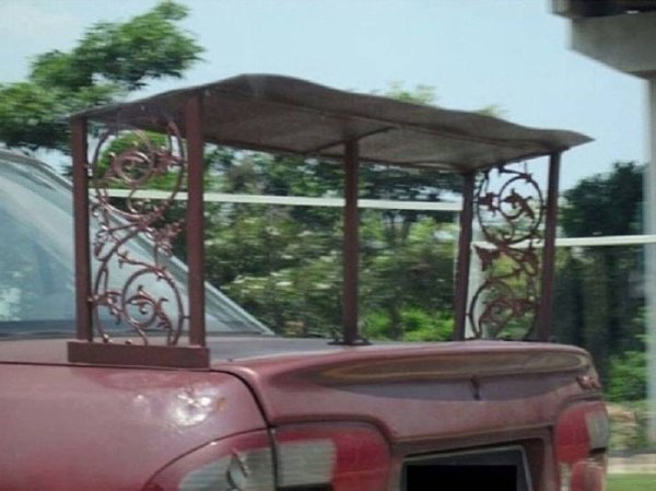 Weird Transport (39 pics)