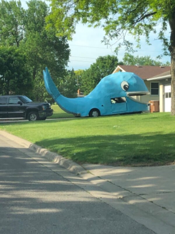 Weird Transport (39 pics)