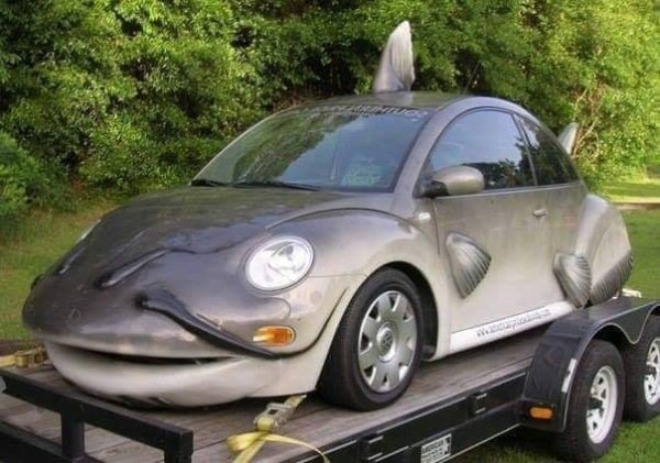 Weird Transport (39 pics)