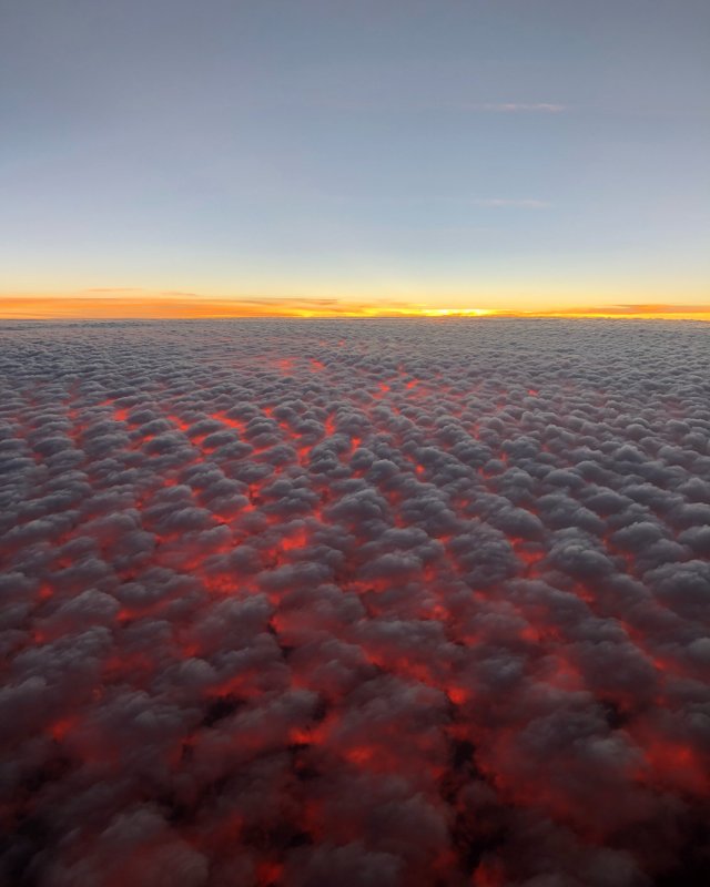 Amazing Things (28 pics)