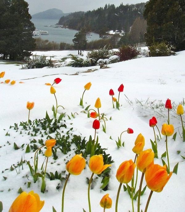 Amazing Things (28 pics)