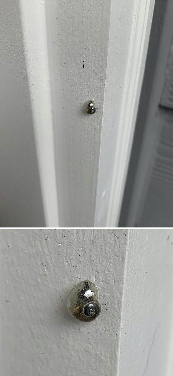 Amazing Things (28 pics)