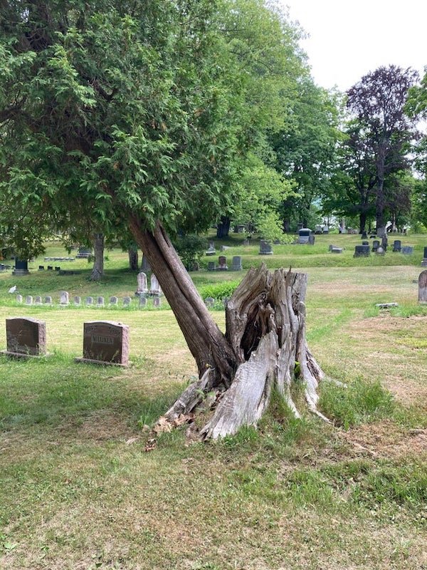 Amazing Things (28 pics)