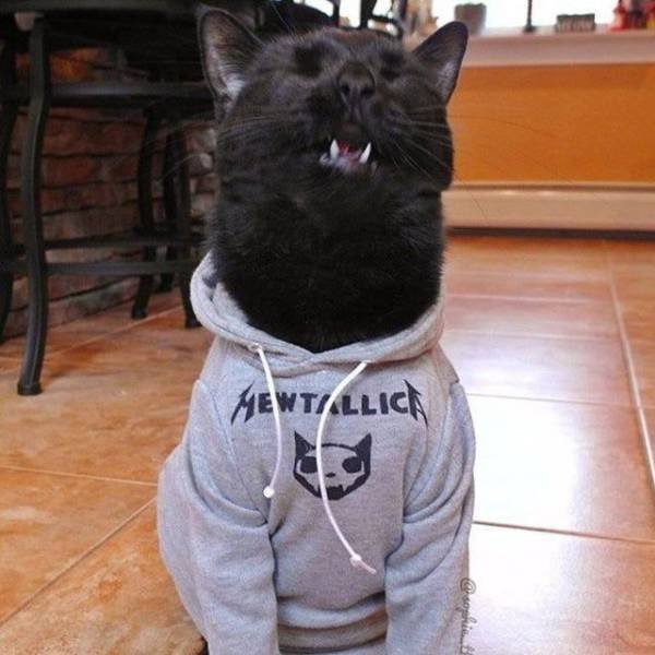 Acid Picdump. Part 2 (91 pics)