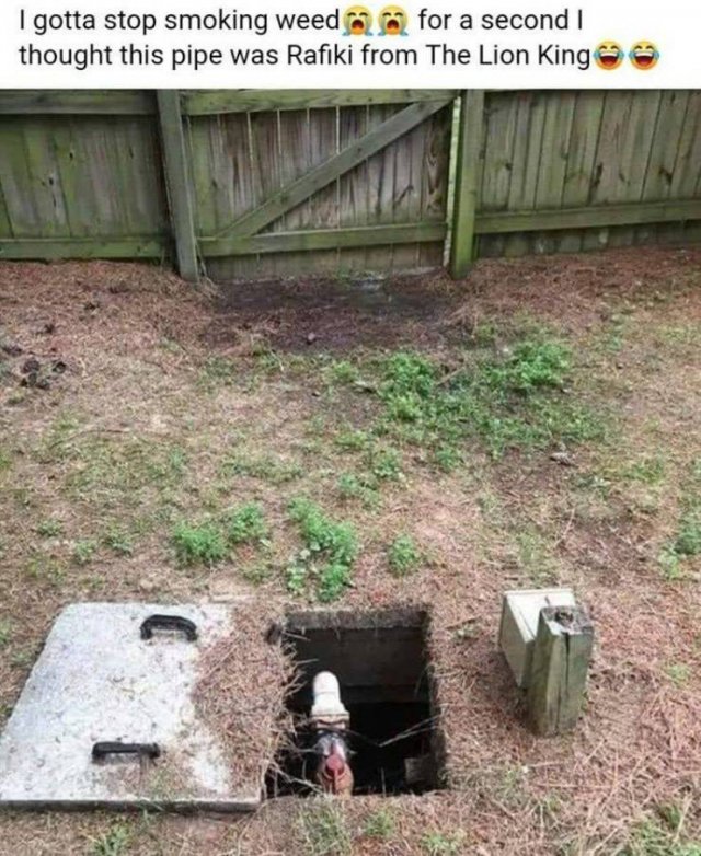 Acid Picdump. Part 2 (91 pics)