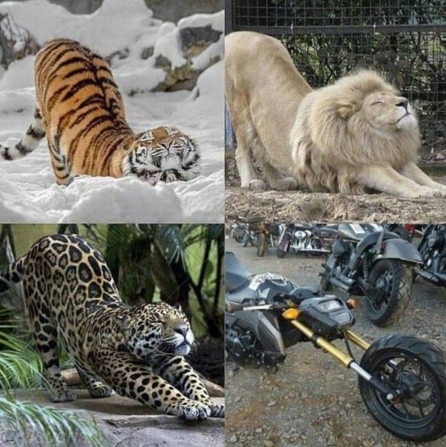 Acid Picdump. Part 2 (91 pics)