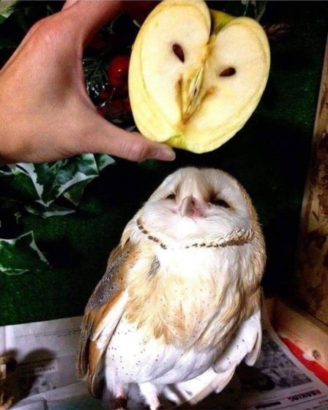 Acid Picdump. Part 2 (91 pics)
