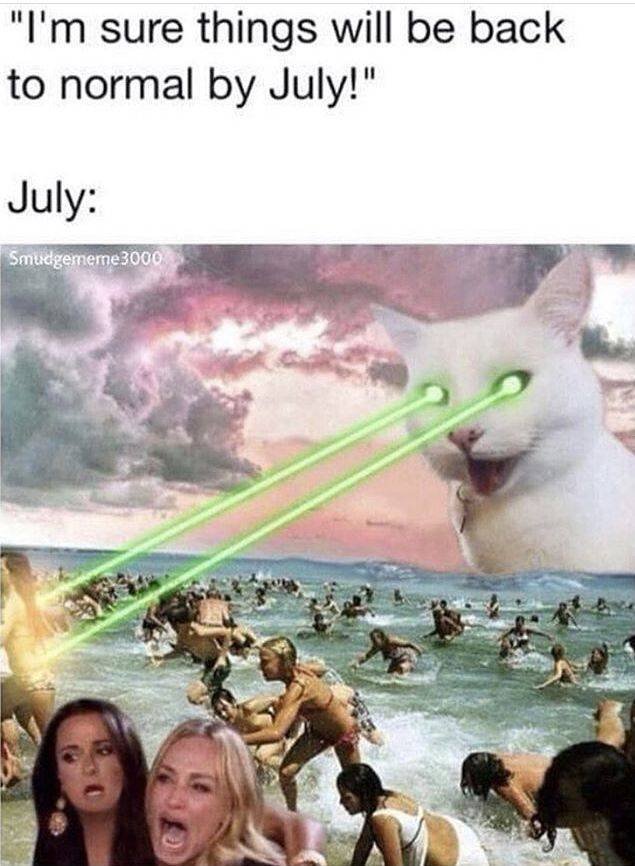 Acid Picdump. Part 2 (91 pics)