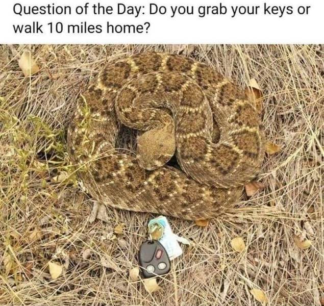 Acid Picdump. Part 2 (91 pics)
