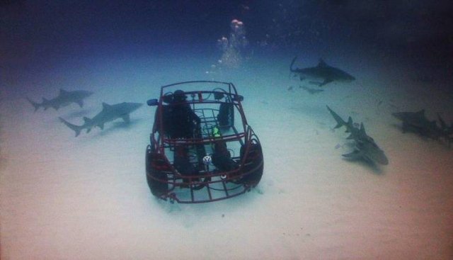 Acid Picdump. Part 2 (91 pics)