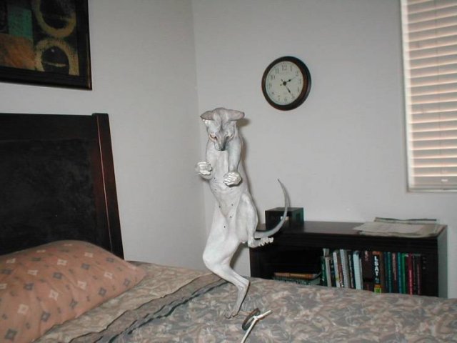 Acid Picdump. Part 2 (91 pics)