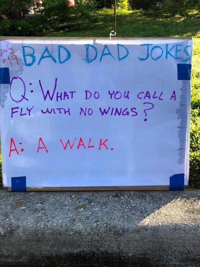 The Worst Dad Jokes Collection By Tom Schruben (30 pics)