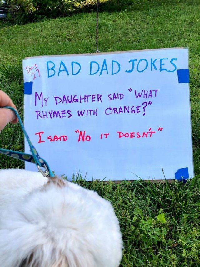 The Worst Dad Jokes Collection By Tom Schruben (30 pics)