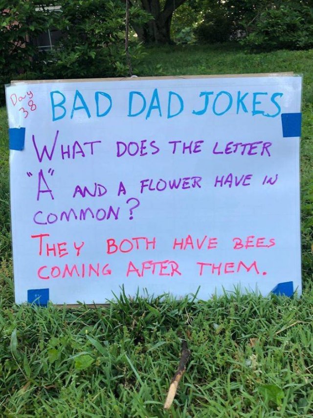 The Worst Dad Jokes Collection By Tom Schruben (30 pics)