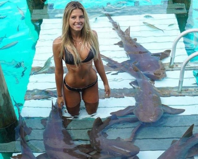 Pics For Grown-Ups (57 pics)