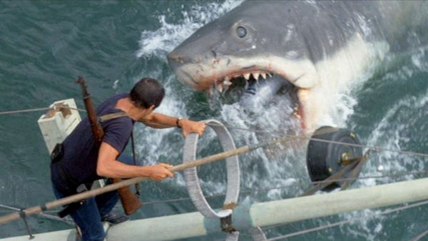 'Jaws' Facts (19 pics)