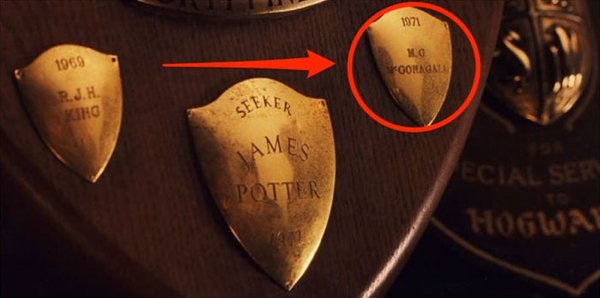 Hidden Details In 'Harry Potter' Movies (19 pics)