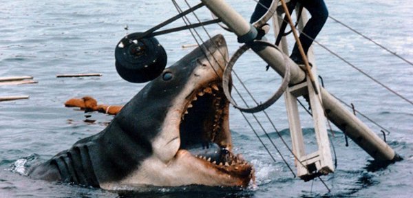 'Jaws' Facts (19 pics)