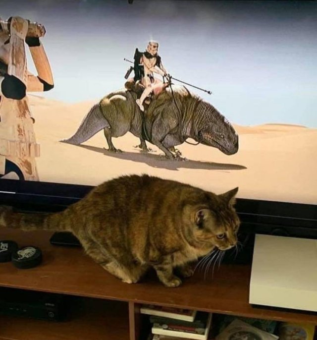 Acid Picdump. Part 2 (96 pics)