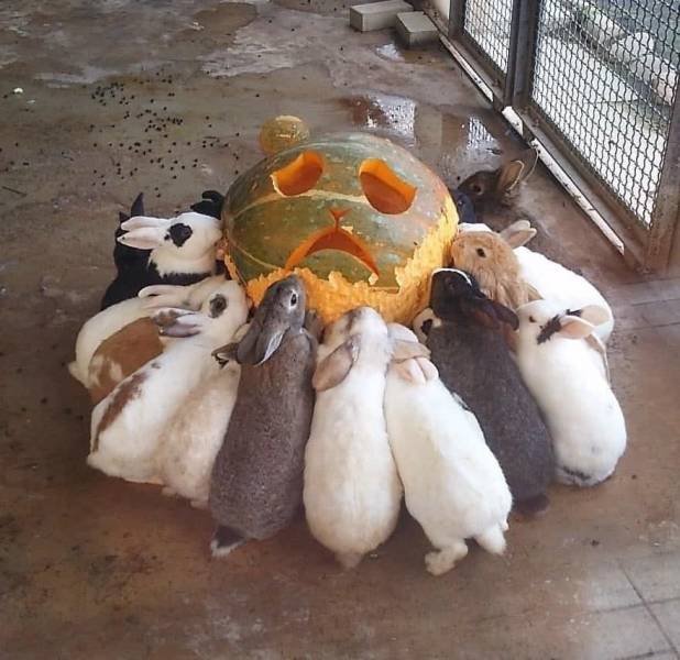 Acid Picdump. Part 2 (96 pics)