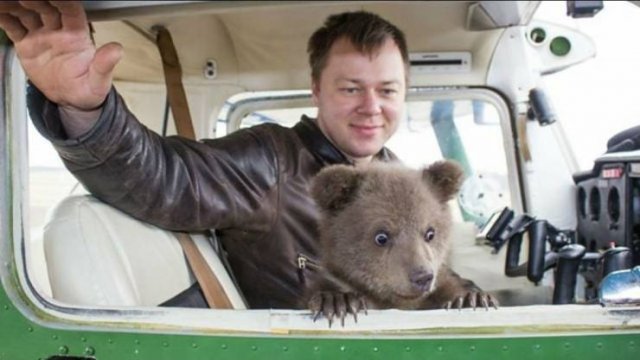 Acid Picdump. Part 2 (96 pics)