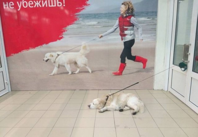 Acid Picdump. Part 2 (96 pics)