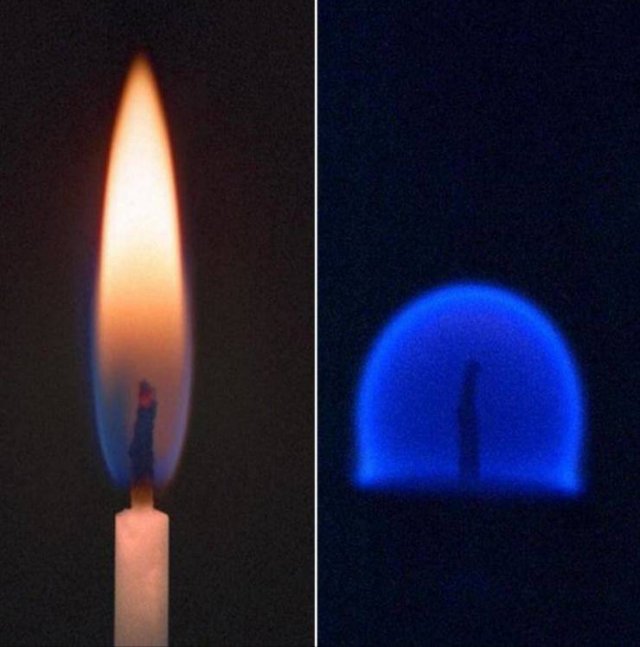 Amazing Pictures (55 pics)