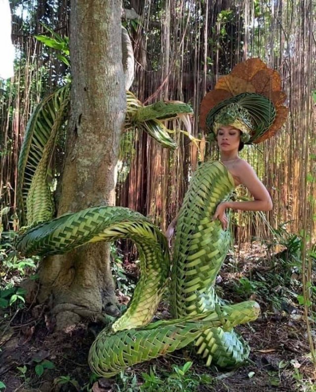 Amazing Pictures (55 pics)