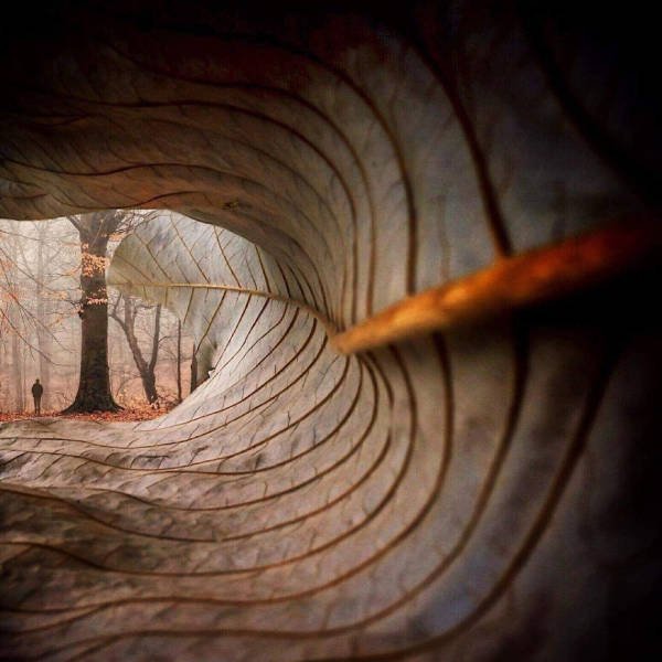 Amazing Pictures (55 pics)