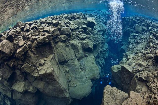 Amazing Pictures (55 pics)
