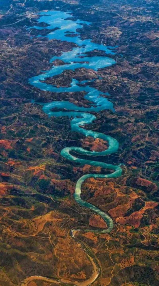 Amazing Pictures (55 pics)