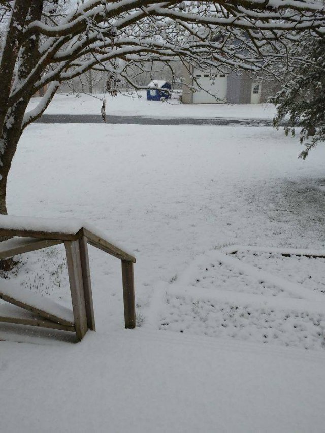 Bad Days Happen (41 pics)