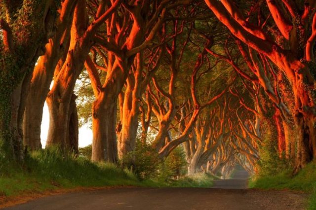 Amazing Pictures (55 pics)