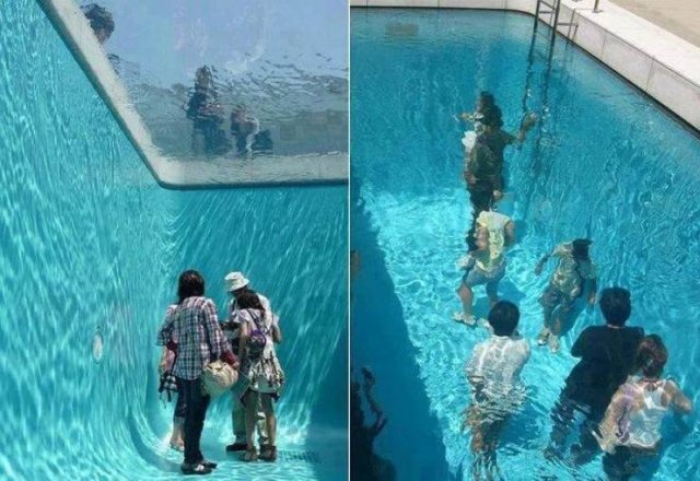 Amazing Pictures (55 pics)