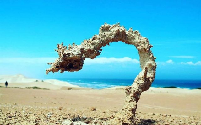 Amazing Pictures (55 pics)